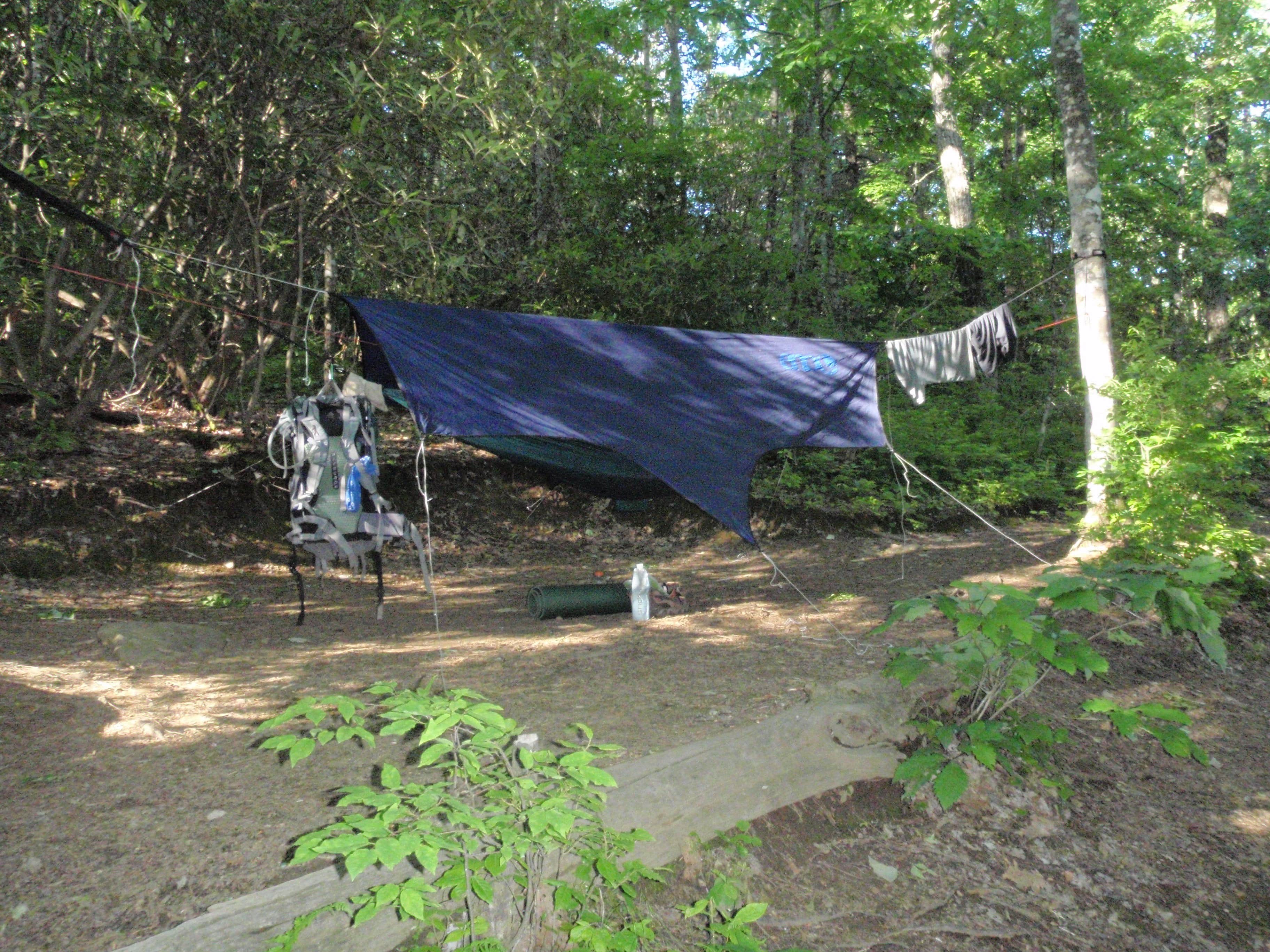 Camper submitted image from Wayah Bald Shelter - 4