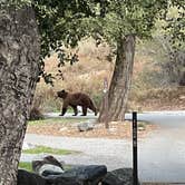 Review photo of Coldbrook Campground by Robert R., January 10, 2023