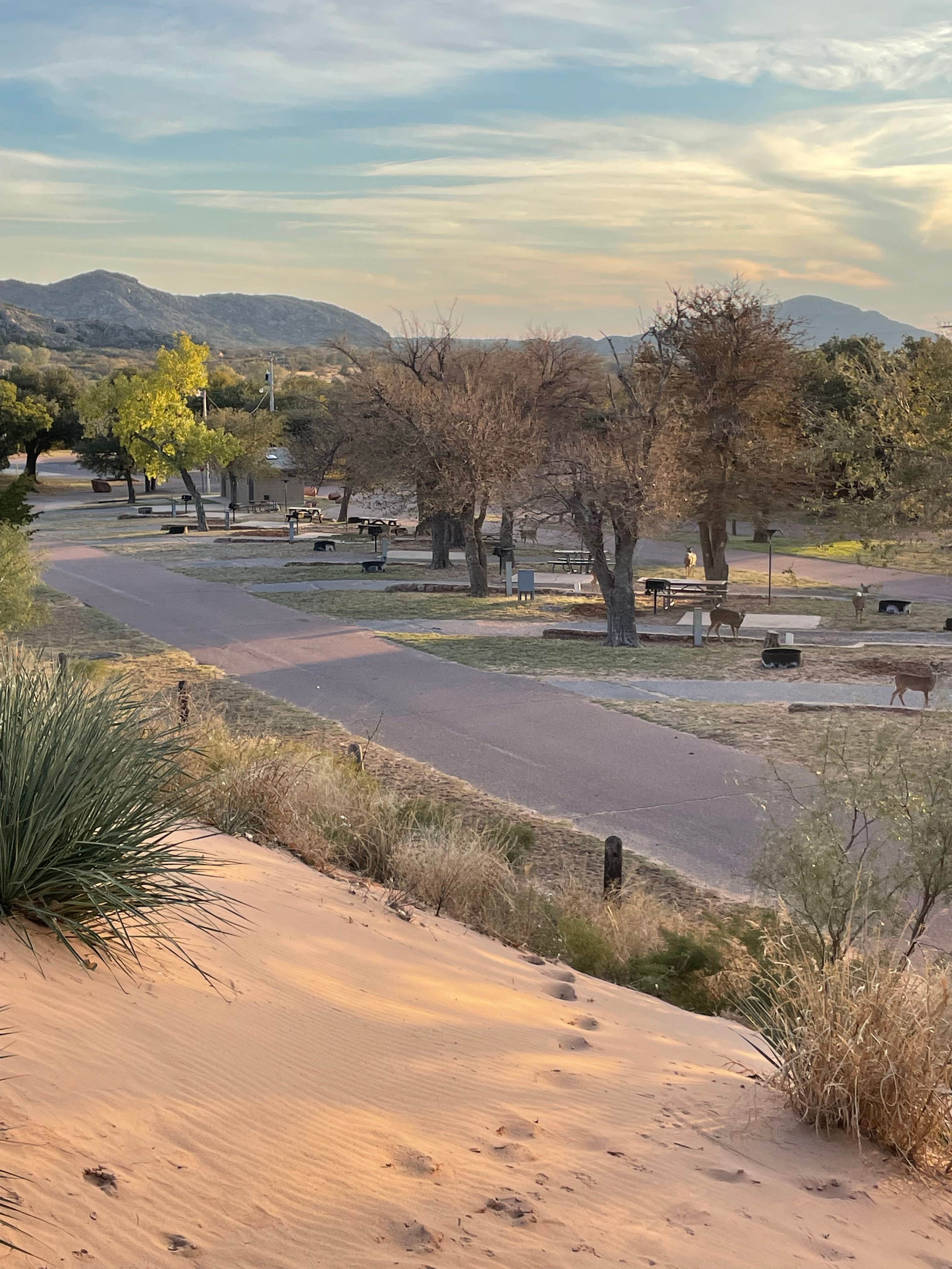 Shana D.'s photo of camping with pets at Quartz Mountain State Park near Canute, OK