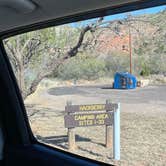 Review photo of Hackberry Campground — Palo Duro Canyon State Park by Shana D., January 10, 2023