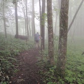 Review photo of Mollies Ridge Shelter — Great Smoky Mountains National Park by Art S., August 12, 2016