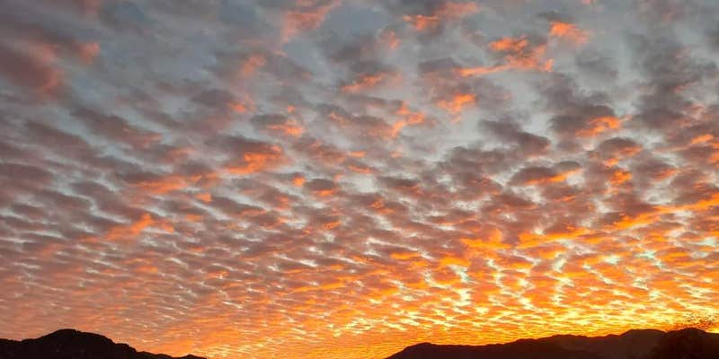 Camper submitted image from Happy Camper Campground & Homestead