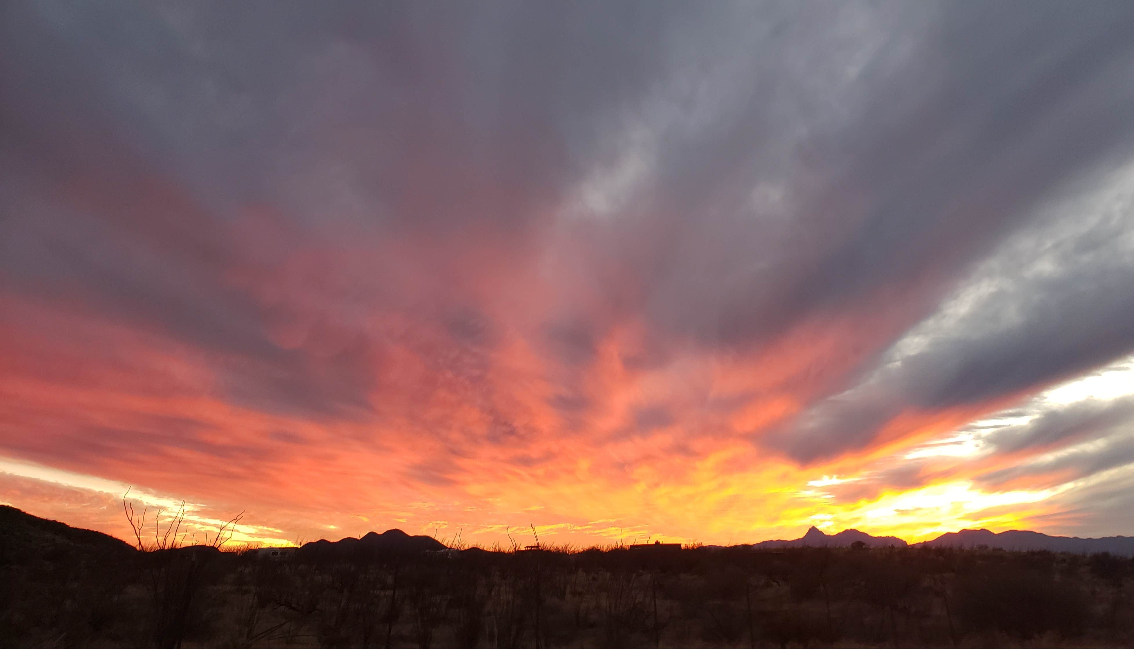 Camper-submitted photo at Happy Camper Campground & Homestead near Sásabe, AZ