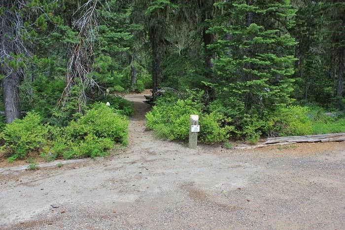Camper submitted image from Takhlakh Lake Campground - 3