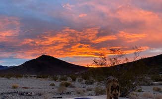 cal K.'s photo of a dispersed camping area at Death Valley: Dispersed Camping East Side of Park near Death Valley National Park
