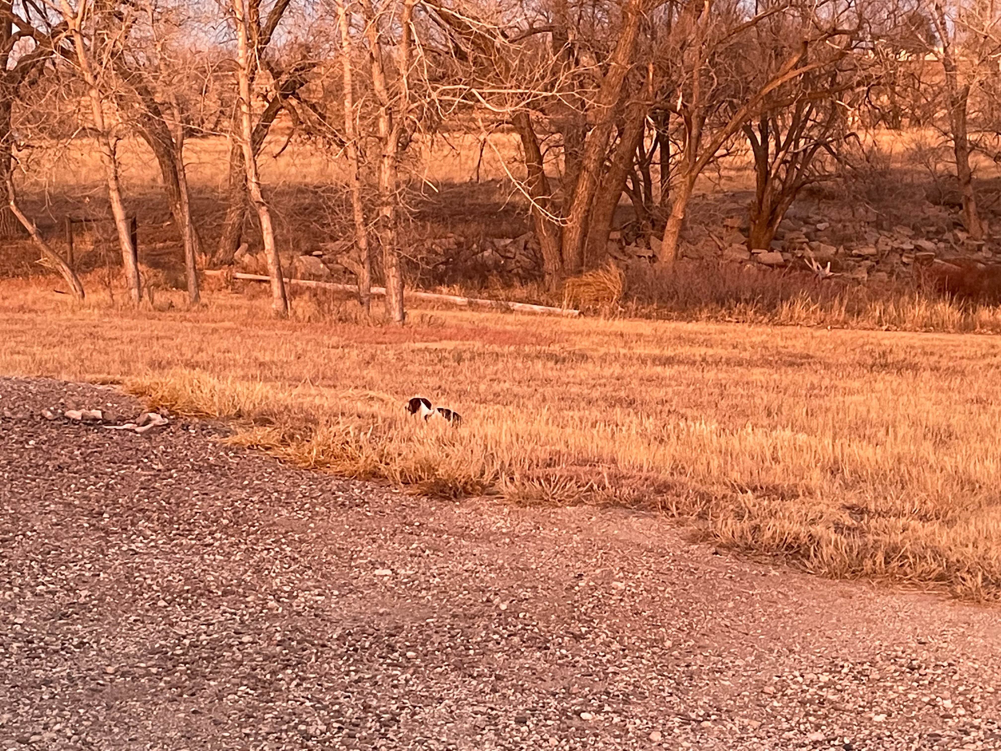 Camper-submitted photo at Ford State Fishing Lake near Wright, KS