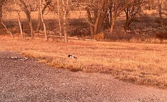 1life1try's photo of camping with pets at Ford State Fishing Lake near Dodge City, KS