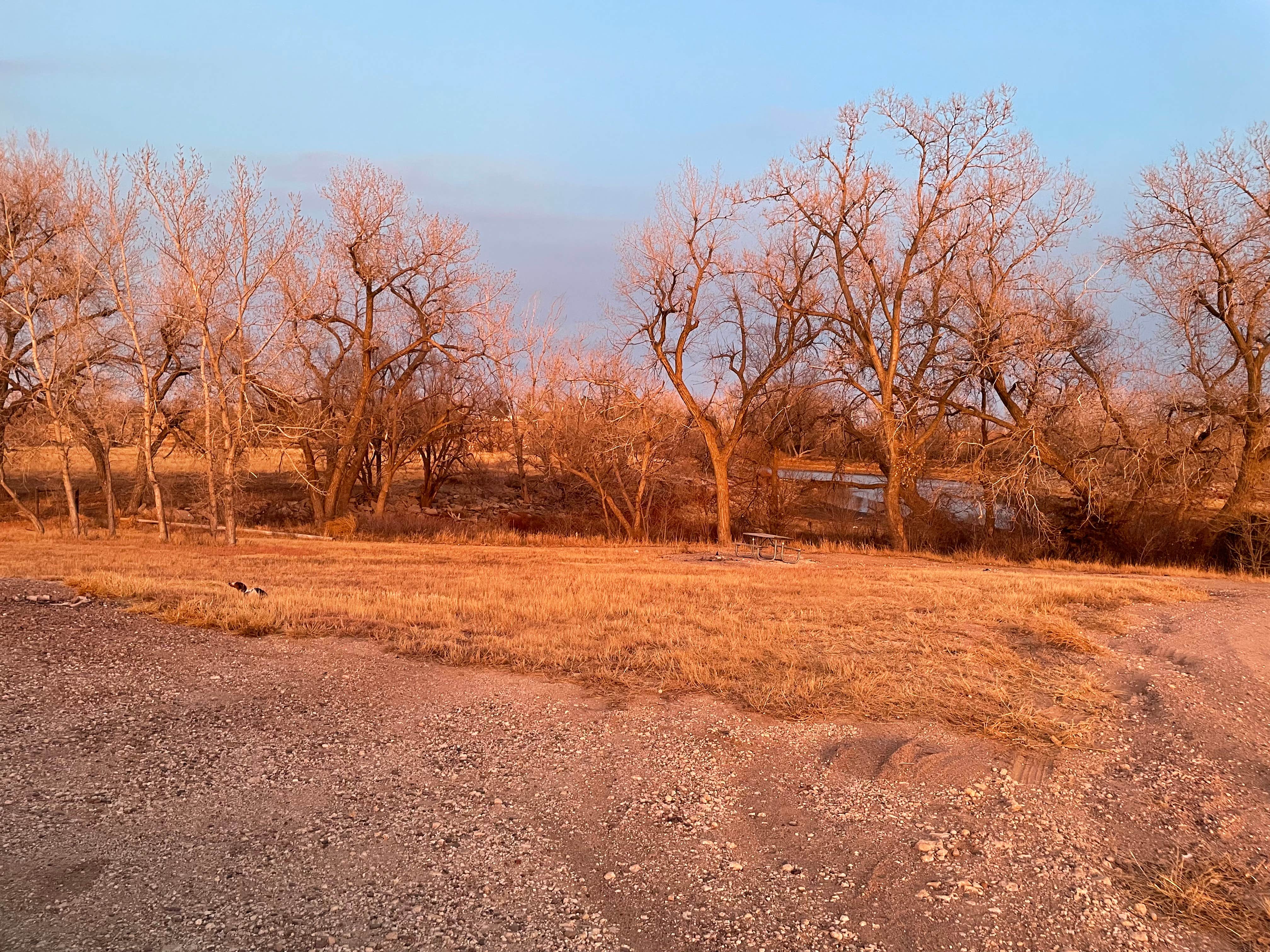 Camper submitted image from Ford State Fishing Lake - 2