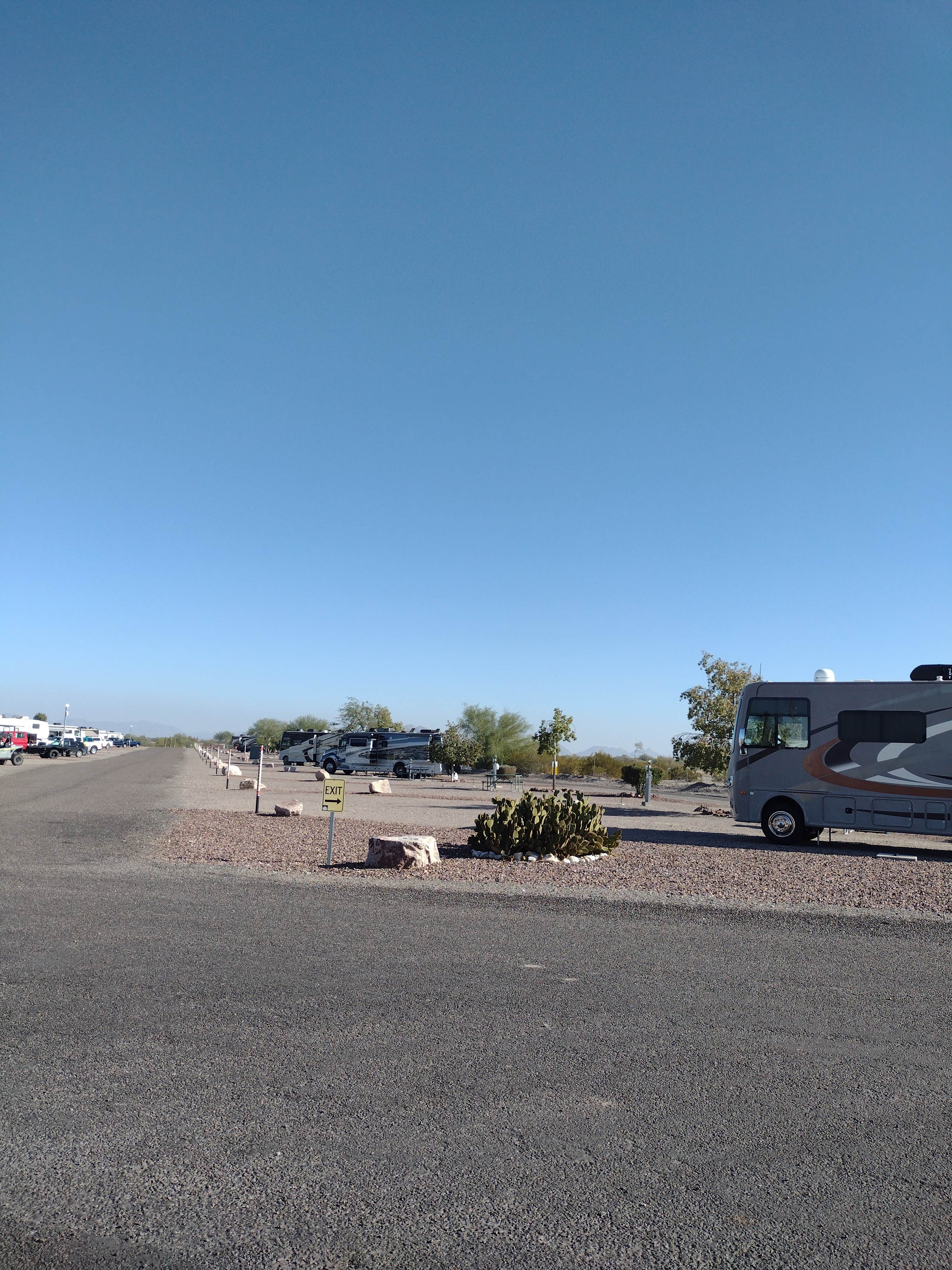 Chandra D.'s photo of camping with pets at Sonoran Desert RV Park near Goodyear, AZ
