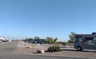 Chandra D.'s photo of camping with pets at Sonoran Desert RV Park near Buckeye, AZ