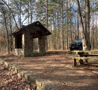 Camper-submitted photo from Bayou Bluff Recreation Area Campground