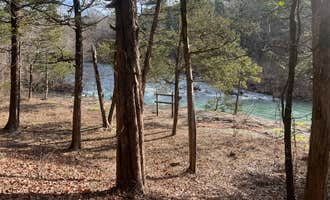 Camping near Long Pool Recreation Area: Bayou Bluff Recreation Area Campground, Hector, Arkansas