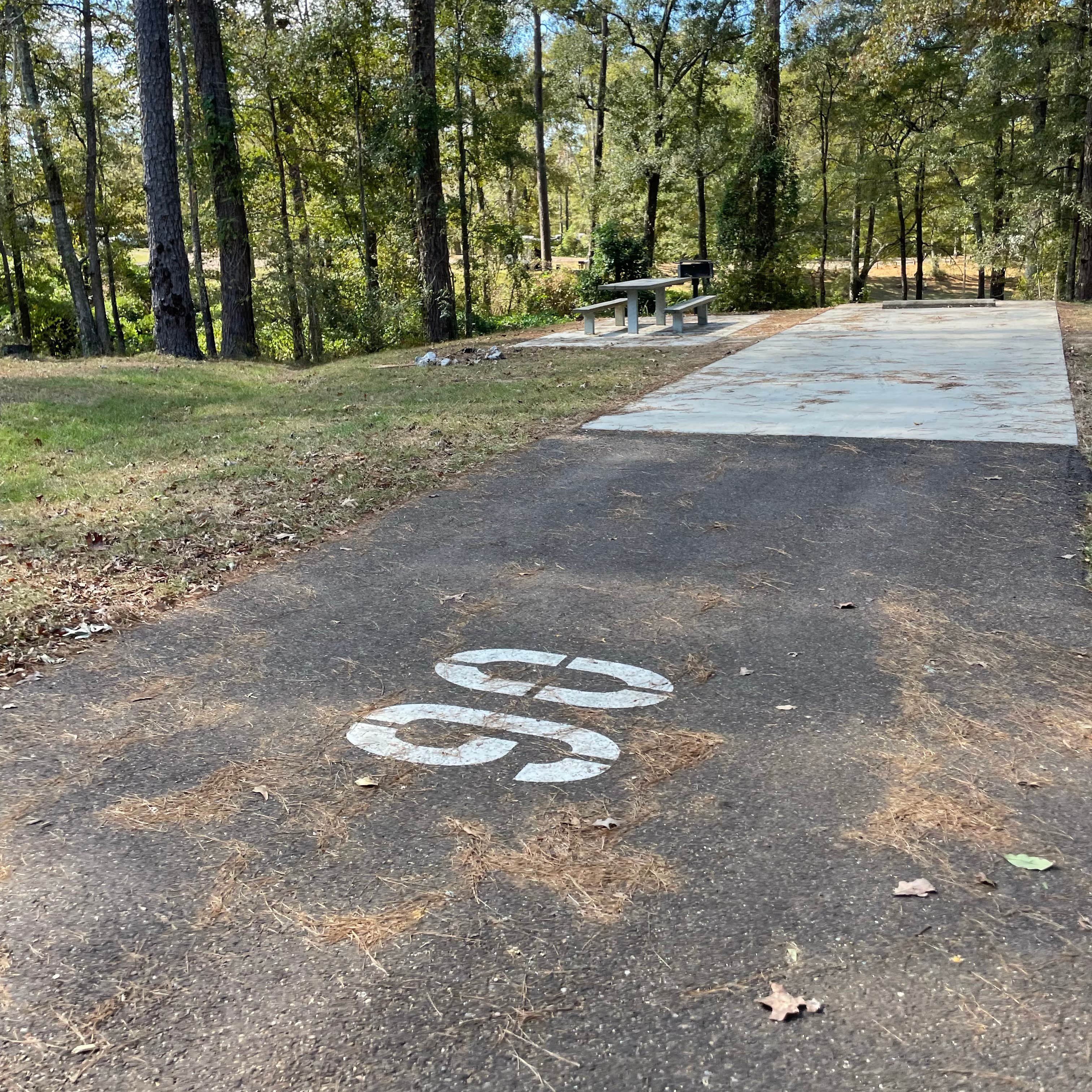 Percy Quin State Park Campground | McComb, MS