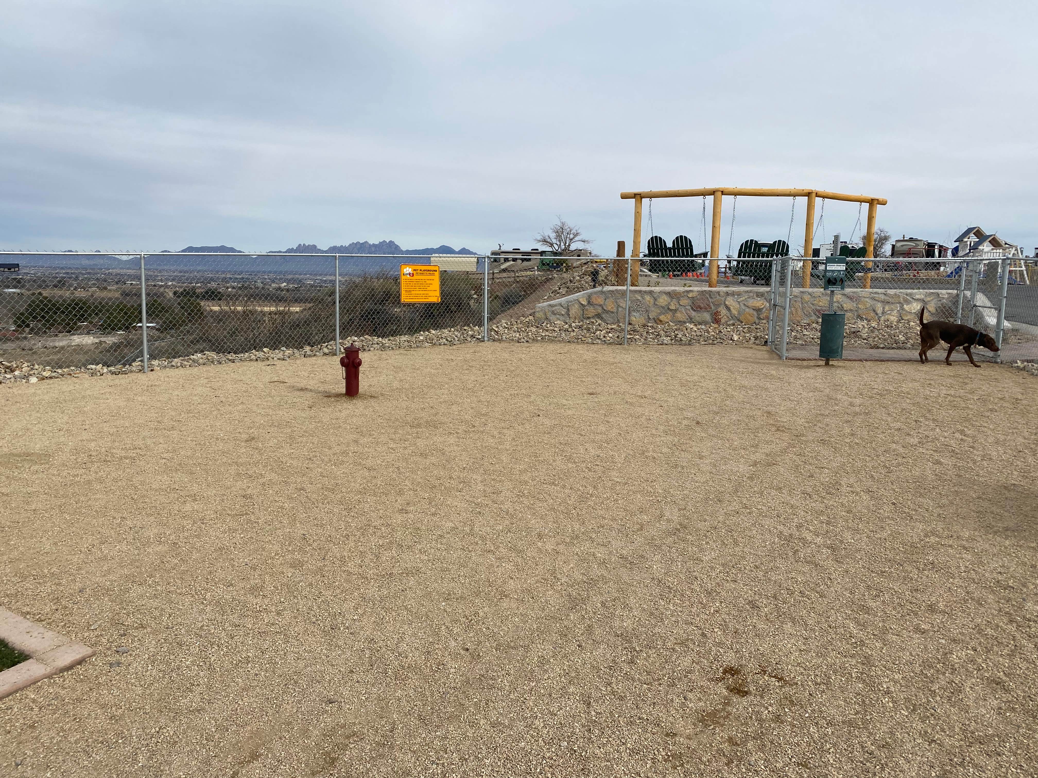 Karen  B.'s photo of camping with pets at Las Cruces KOA in New Mexico