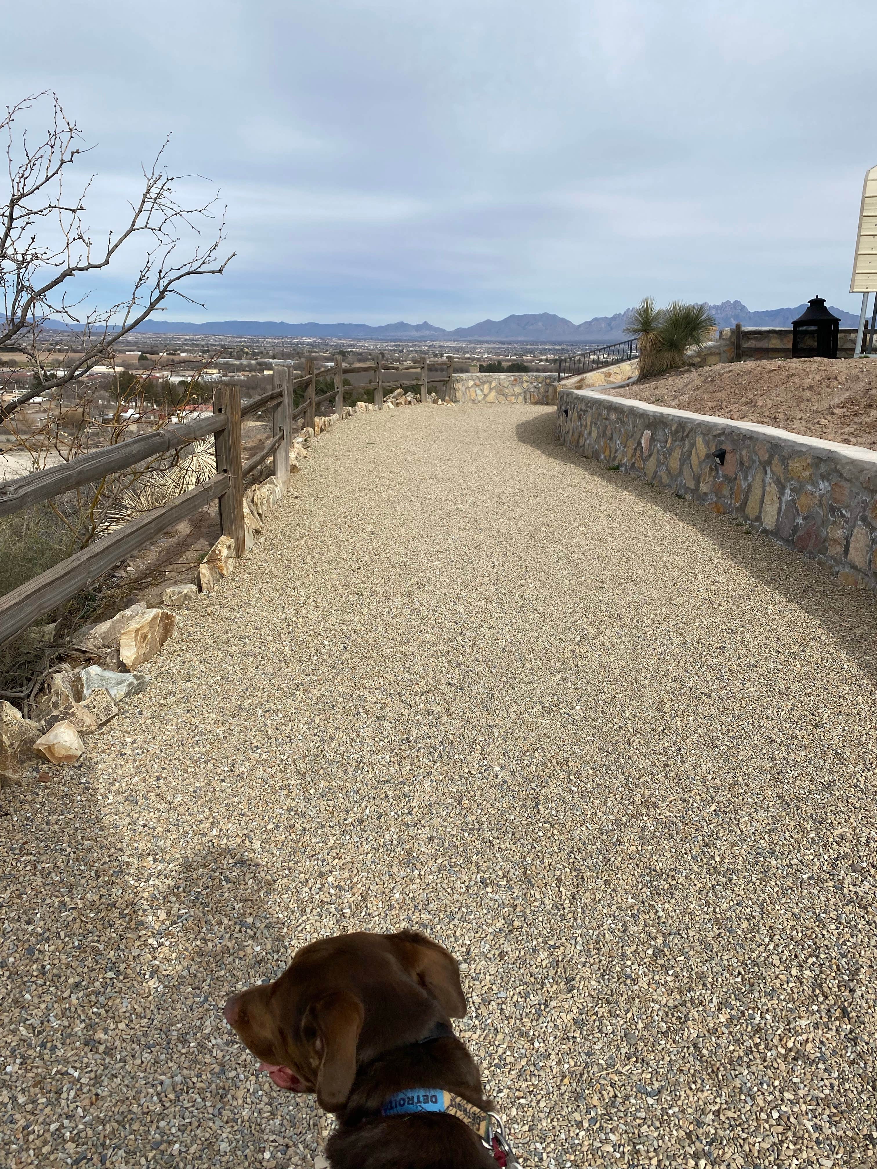 Karen  B.'s photo of camping with pets at Las Cruces KOA in New Mexico