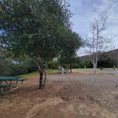 Review photo of Dos Picos County Park by janet H., January 12, 2023