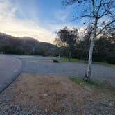 Review photo of Dos Picos County Park by janet H., January 12, 2023