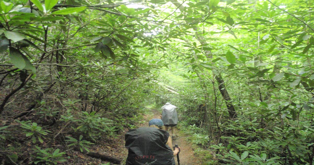 Davenport Shelter — Great Smoky Mountains National Park