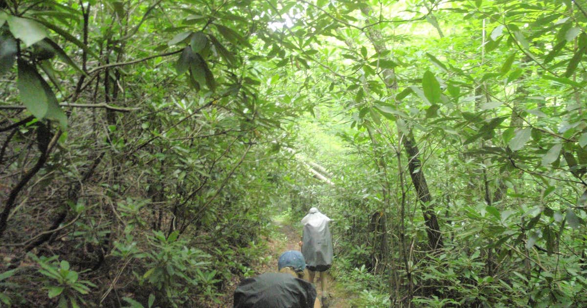 Davenport Shelter — Great Smoky Mountains National Park