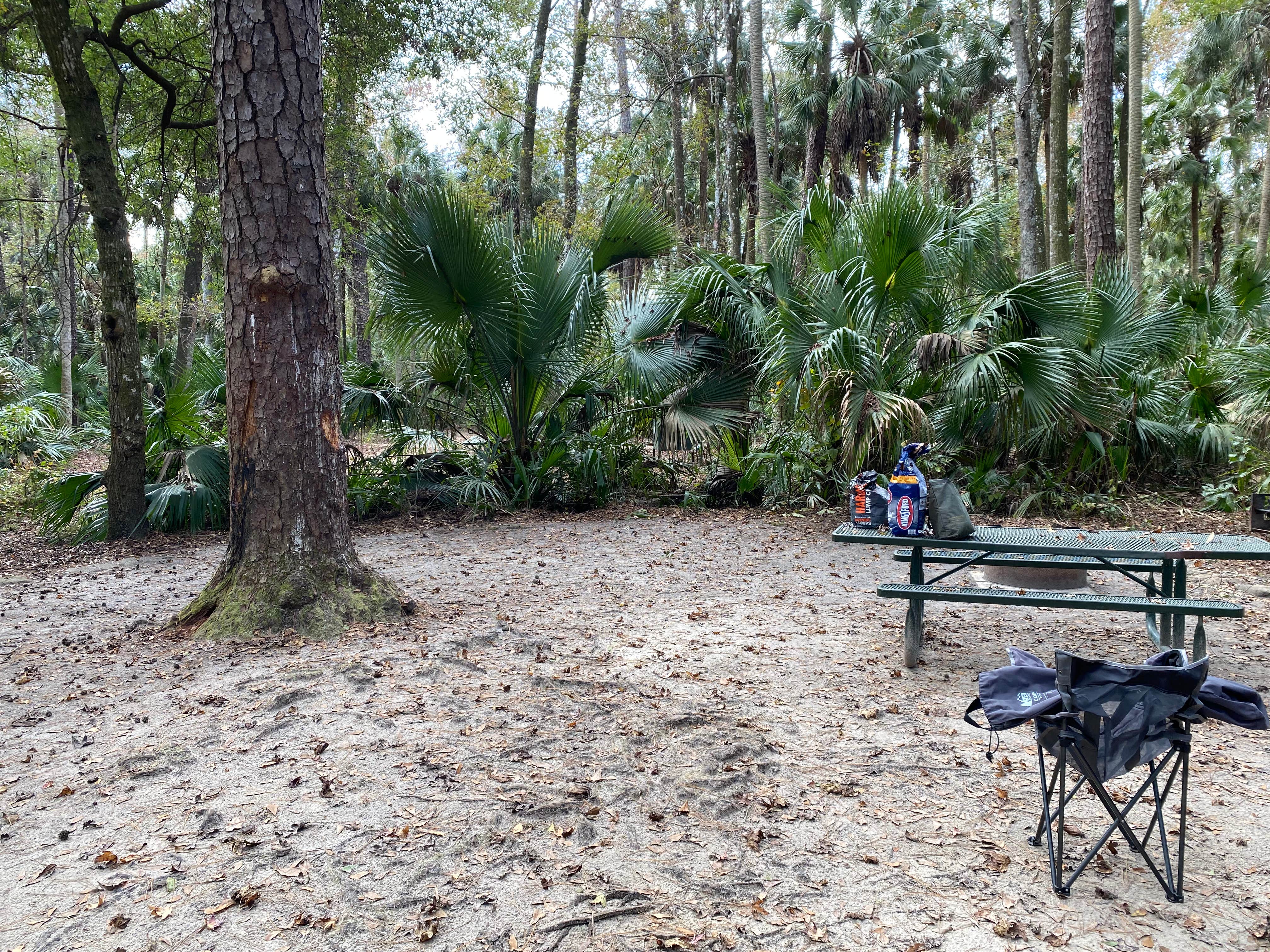 Camper submitted image from Juniper Springs Rec Area - Fern Hammock Springs - 4