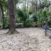 Review photo of Juniper Springs Rec Area - Fern Hammock Springs by Stuart K., January 12, 2023