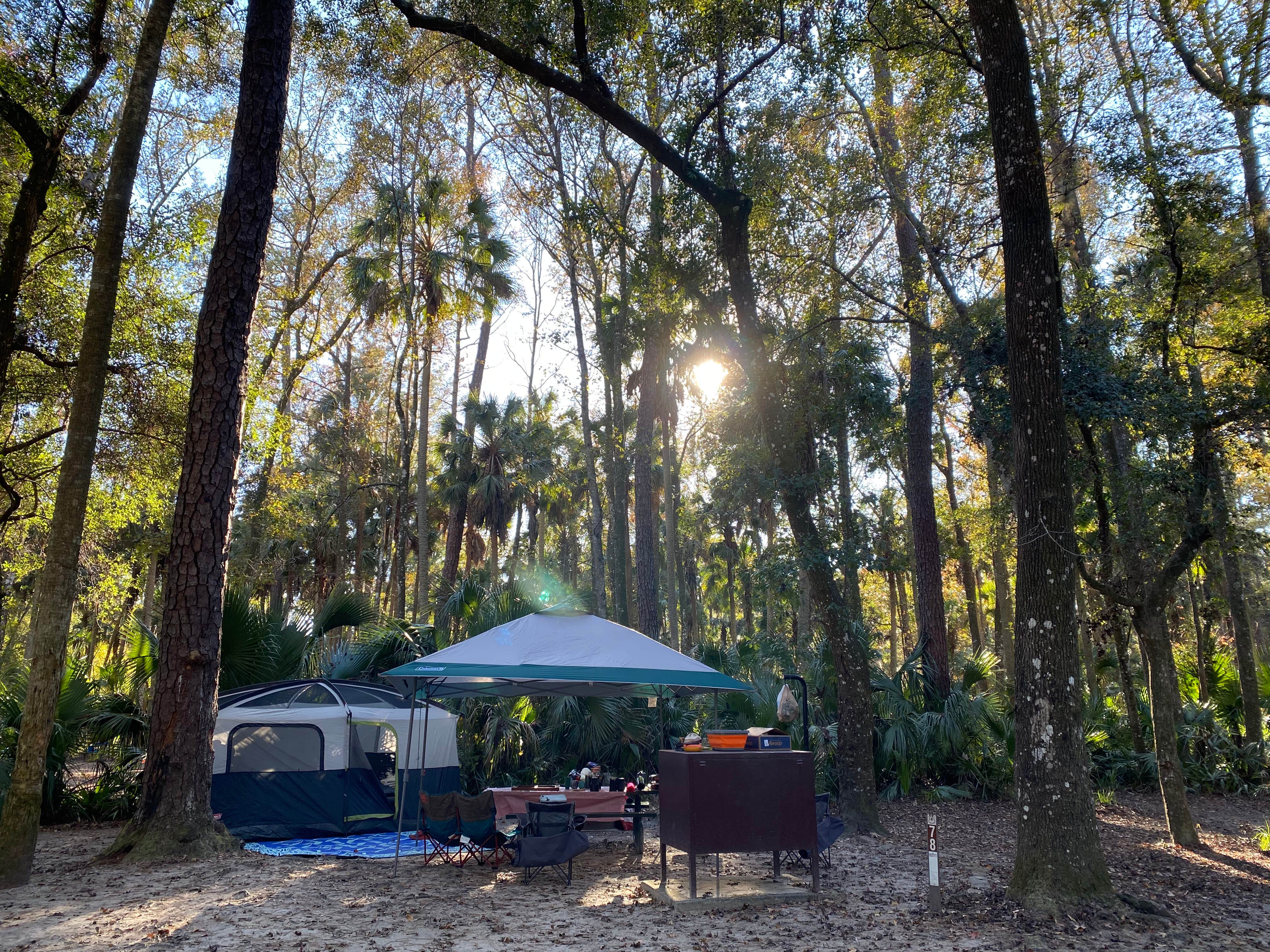 Camper submitted image from Juniper Springs Rec Area - Fern Hammock Springs - 3