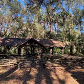 Review photo of Juniper Springs Rec Area - Fern Hammock Springs by Stuart K., January 12, 2023