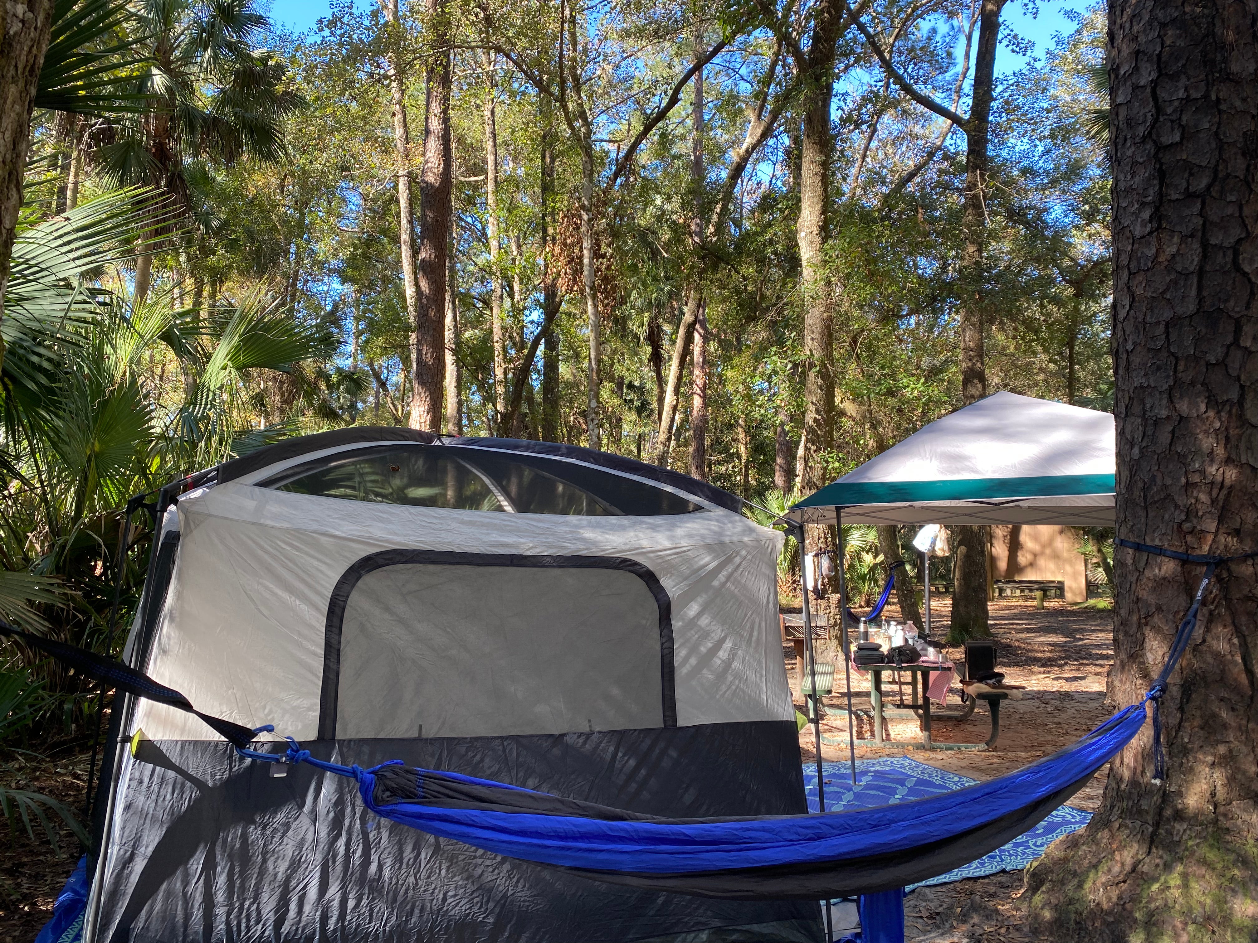 Camper submitted image from Juniper Springs Rec Area - Fern Hammock Springs - 5
