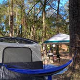 Review photo of Juniper Springs Rec Area - Fern Hammock Springs by Stuart K., January 12, 2023