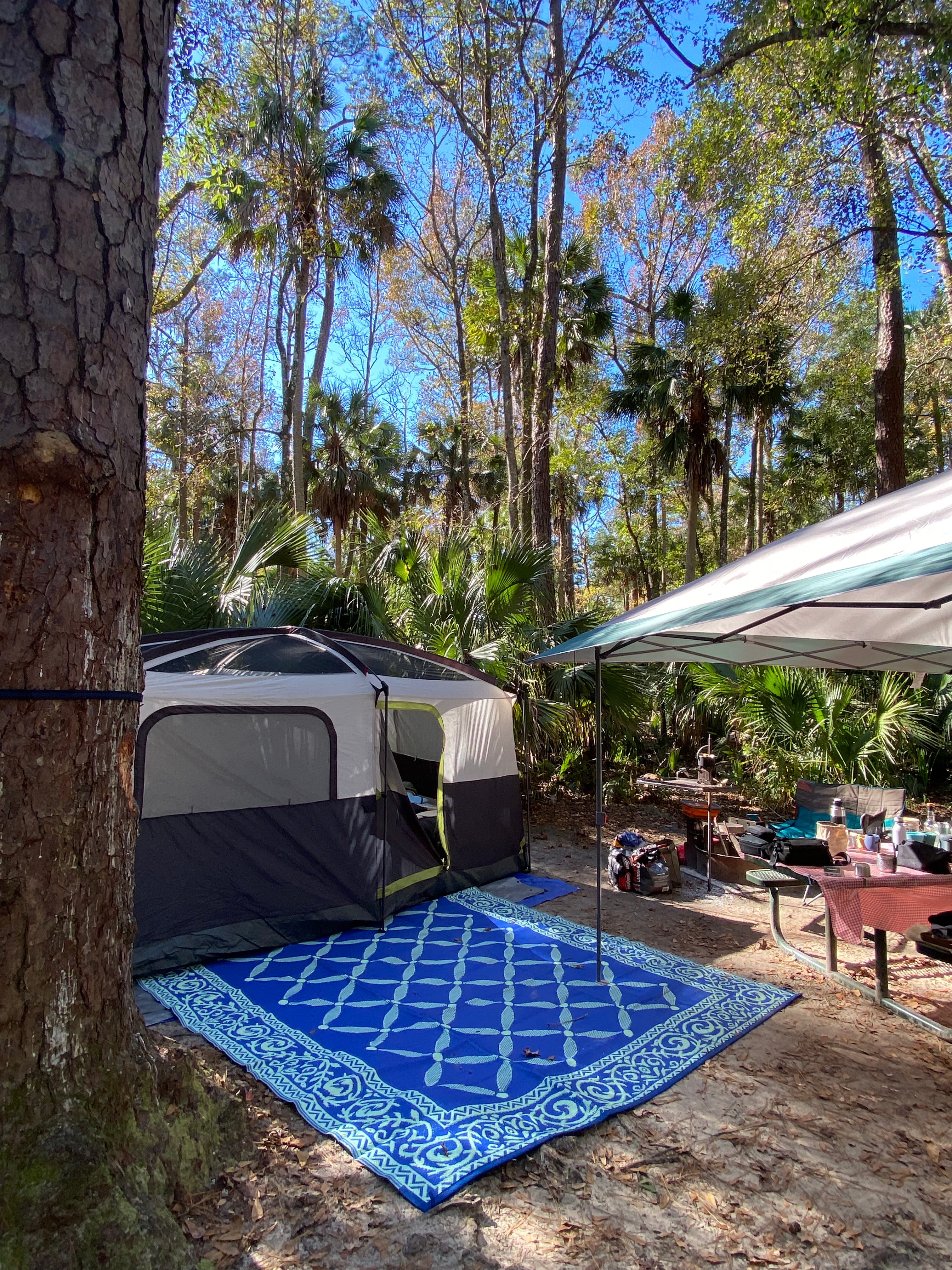 Camper submitted image from Juniper Springs Rec Area - Fern Hammock Springs - 2