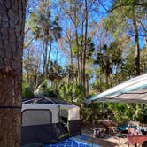 Review photo of Juniper Springs Rec Area - Fern Hammock Springs by Stuart K., January 12, 2023