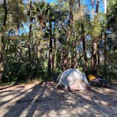 Review photo of Juniper Springs Rec Area - Sandpine by Stuart K., January 12, 2023