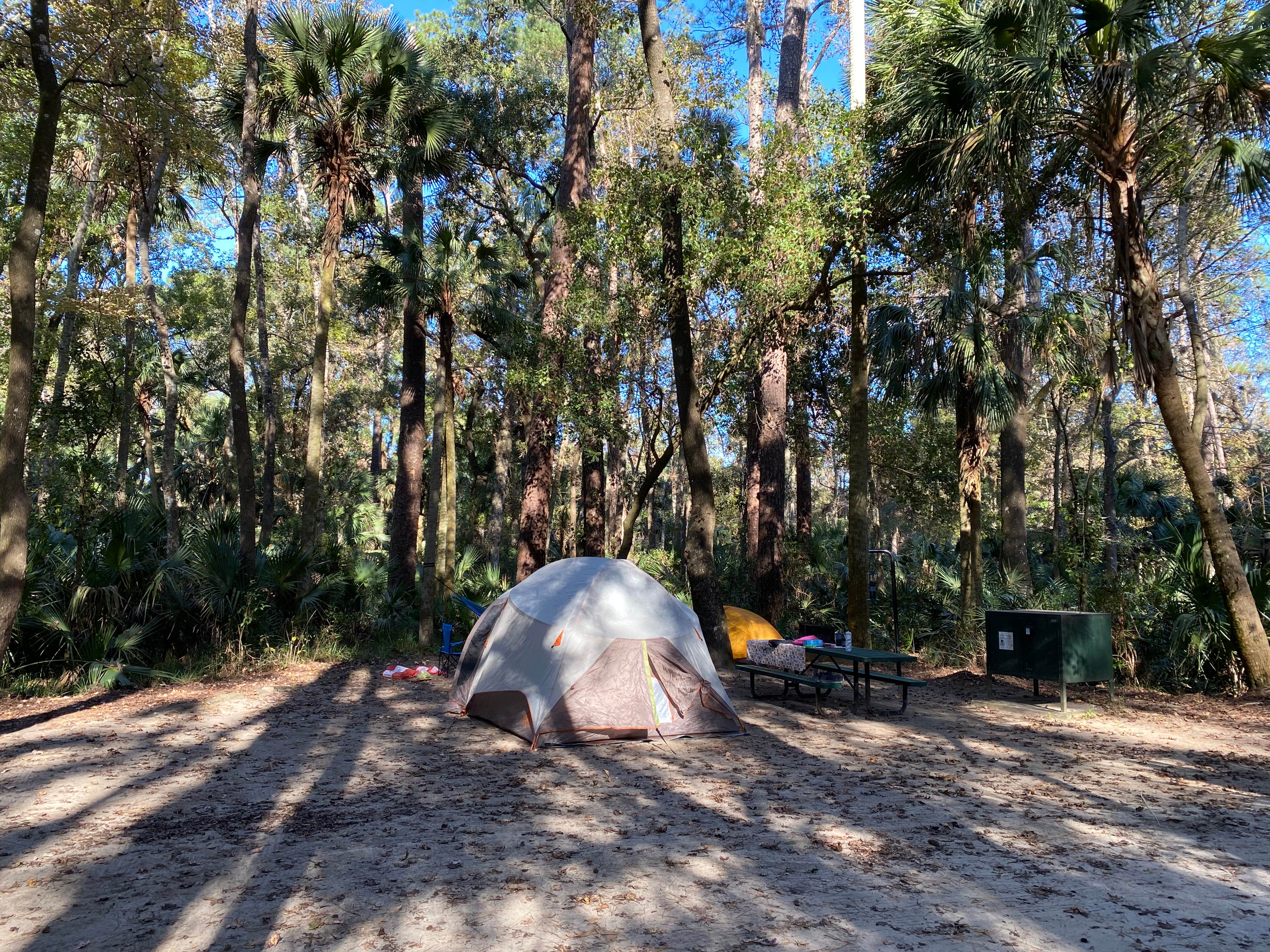 Camper submitted image from Juniper Springs Rec Area - Sandpine - 3