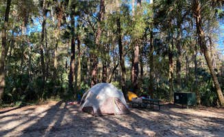 Stuart K.'s photo at Juniper Springs Rec Area - Sandpine near Ocala National Forest