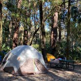 Review photo of Juniper Springs Rec Area - Sandpine by Stuart K., January 12, 2023