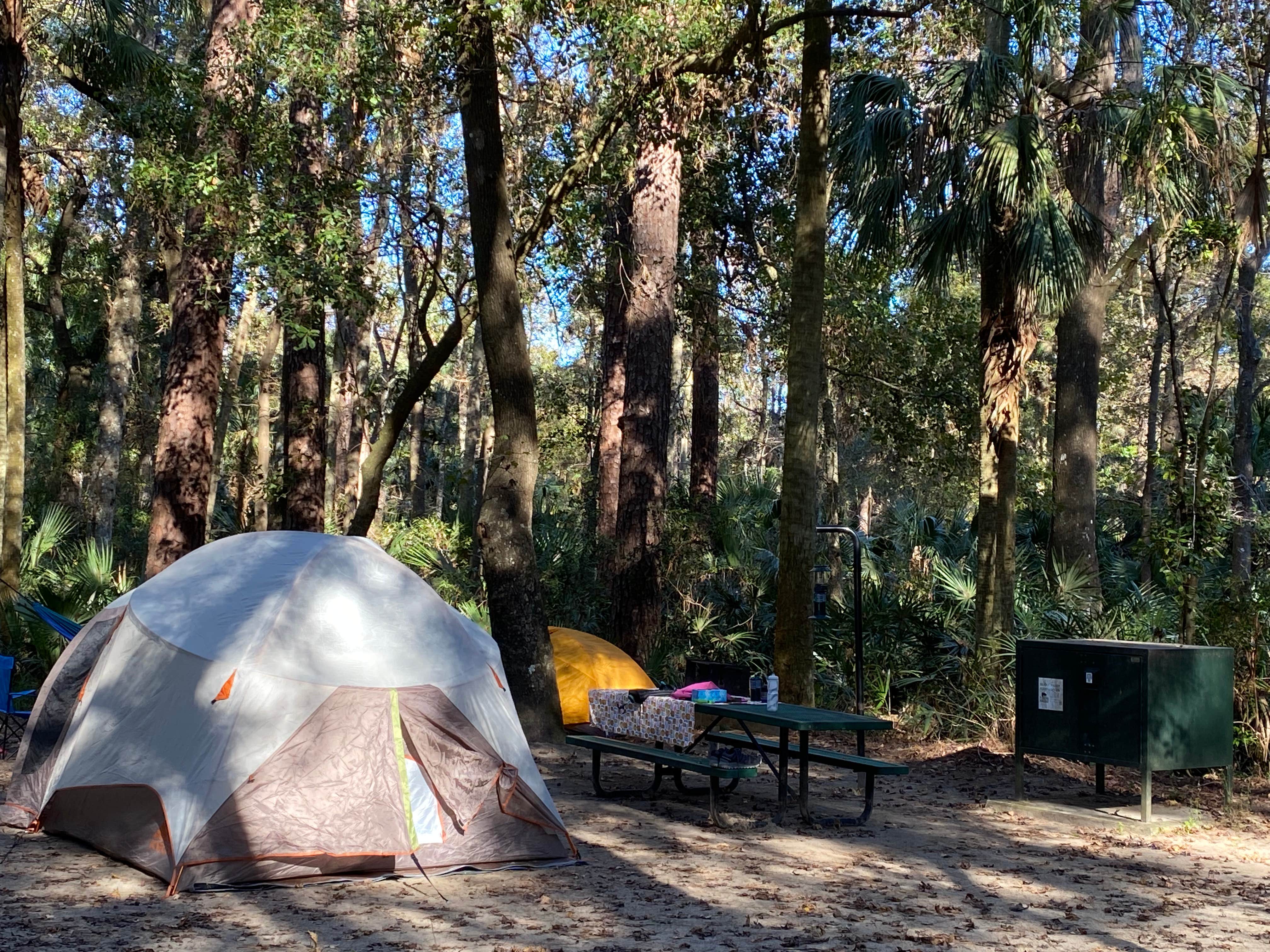 Camper submitted image from Juniper Springs Rec Area - Sandpine - 4