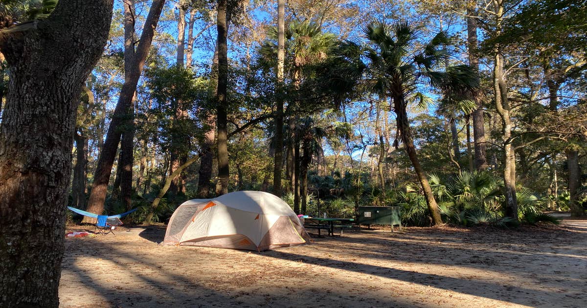 Juniper Springs Rec Area - Sandpine Camping | Ocala National Forest, Florida
