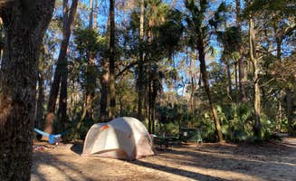 Stuart K.'s photo at Juniper Springs Rec Area - Sandpine near Ocala National Forest