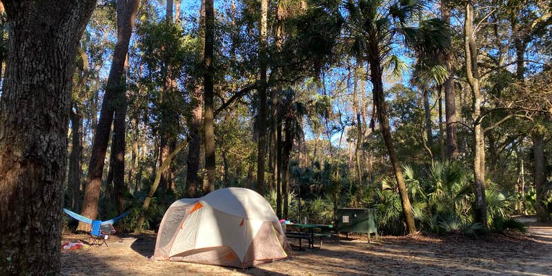 Camper submitted image from Juniper Springs Rec Area - Sandpine
