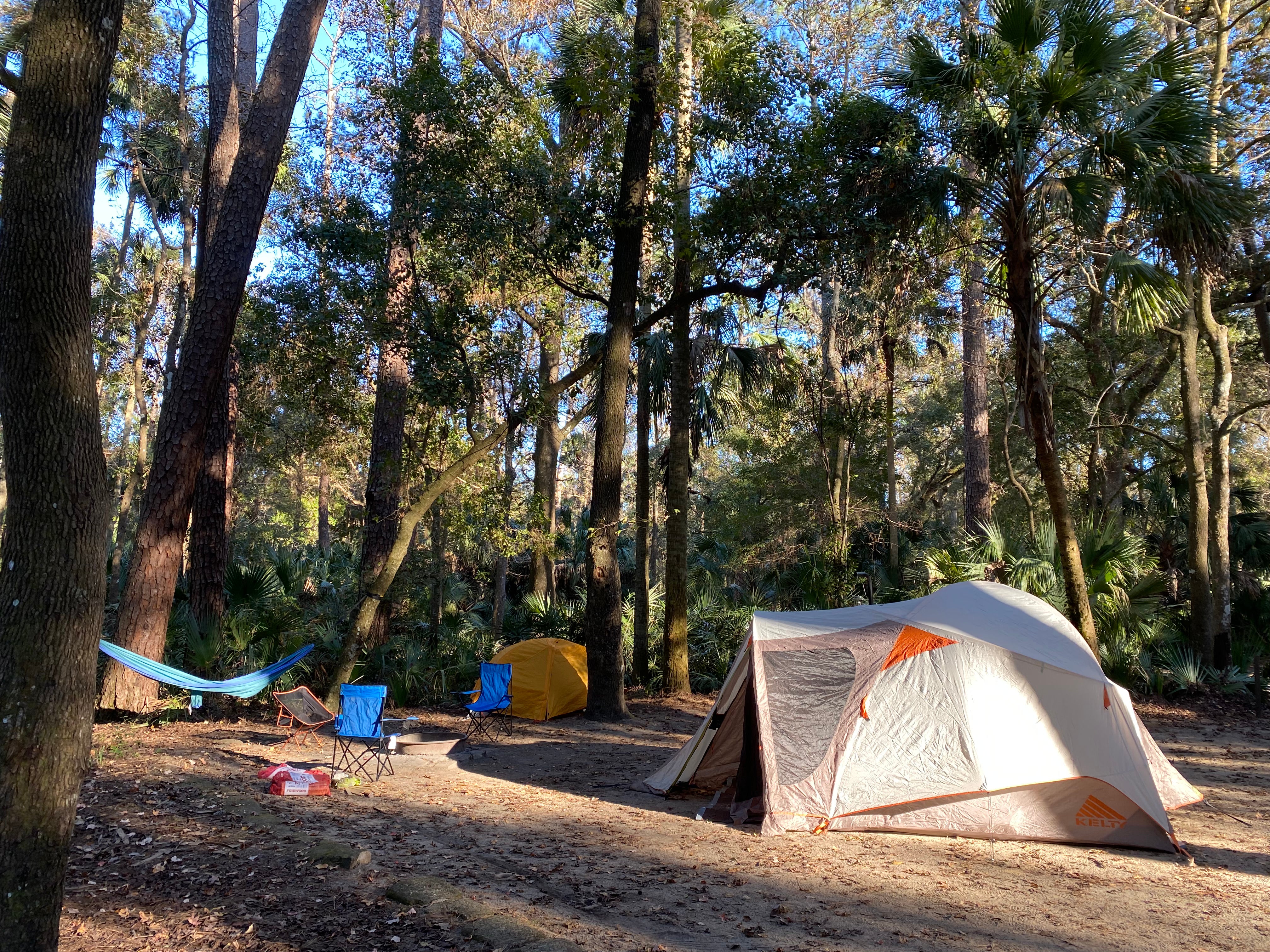 Camper submitted image from Juniper Springs Rec Area - Sandpine - 5