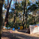 Review photo of Juniper Springs Rec Area - Sandpine by Stuart K., January 12, 2023