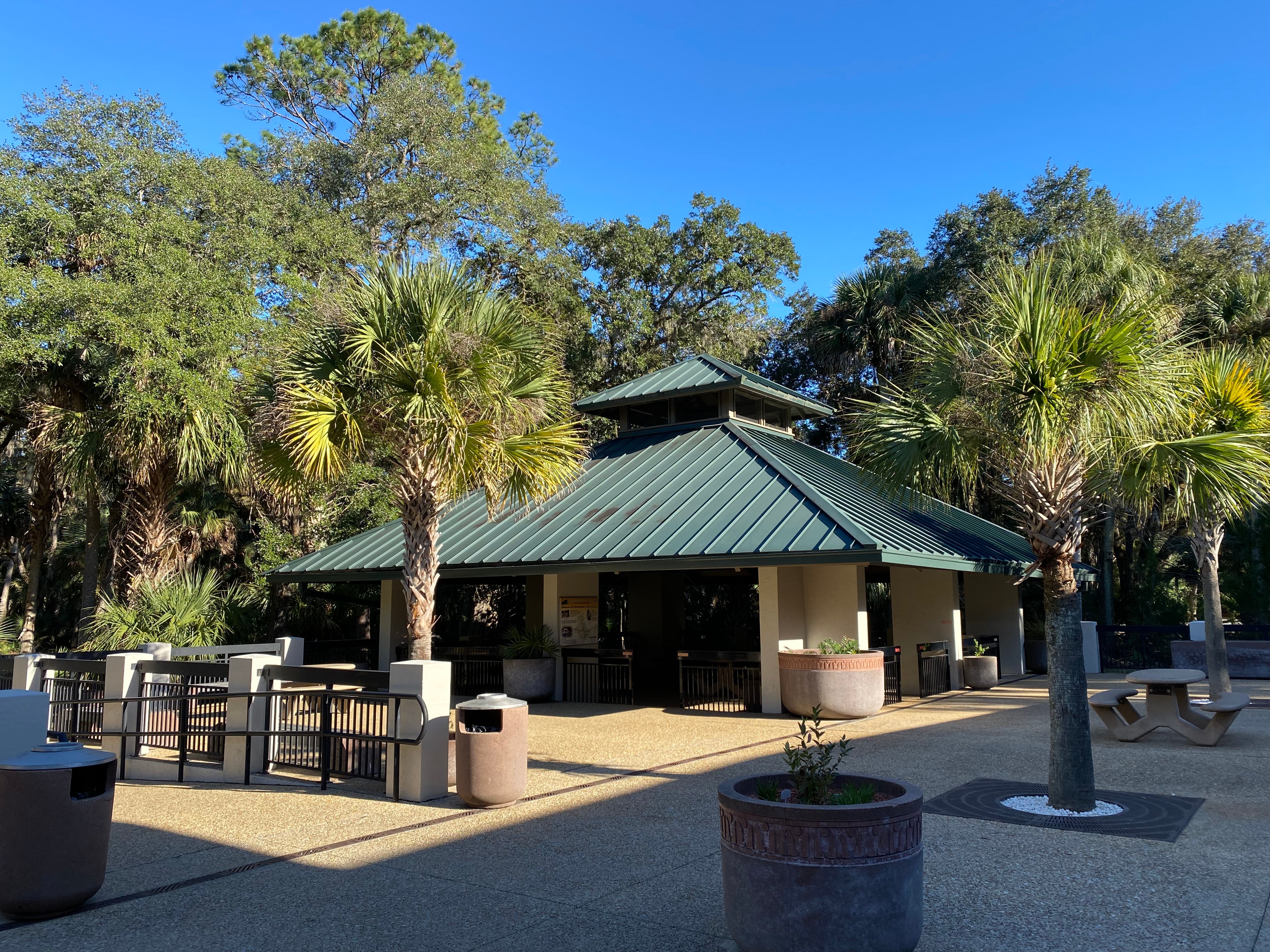 Camper submitted image from Juniper Springs Rec Area - Sandpine - 4