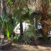 Review photo of Juniper Springs Rec Area - Tropical Camp Area by Stuart K., January 12, 2023