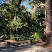 Review photo of Juniper Springs Rec Area - Tropical Camp Area by Stuart K., January 12, 2023