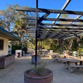 Review photo of Juniper Springs Rec Area - Tropical Camp Area by Stuart K., January 12, 2023