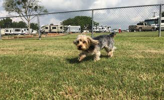 Felesia B.'s photo of camping with pets at Hidden Creek RV Resort near Somerville Lake