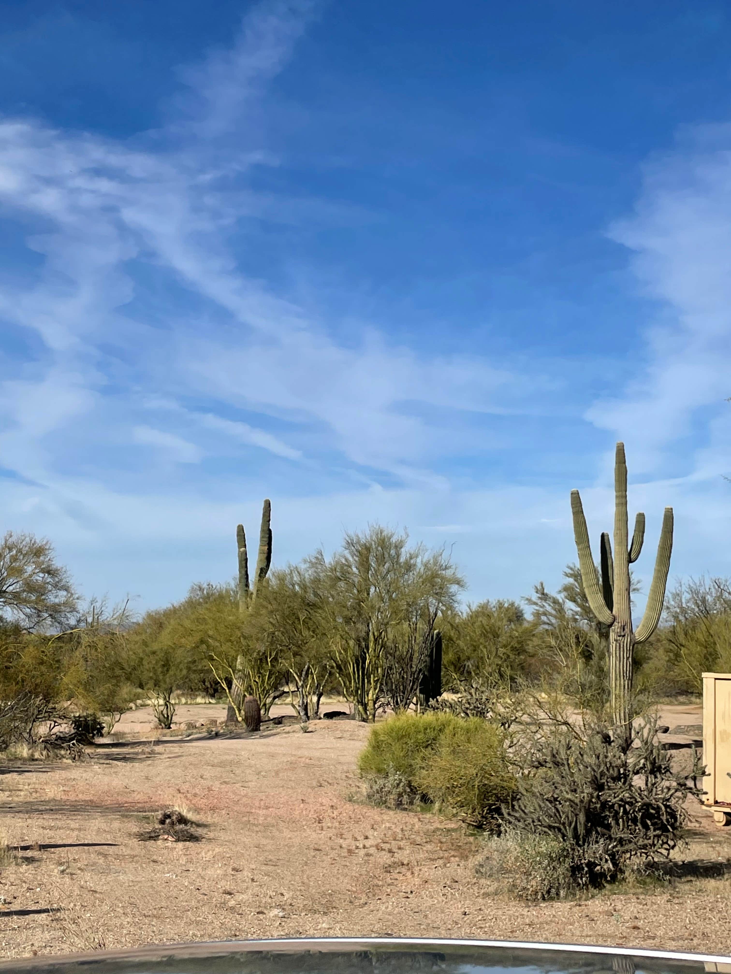 Camper-submitted photo at gOawayranchaz near Glendale, AZ