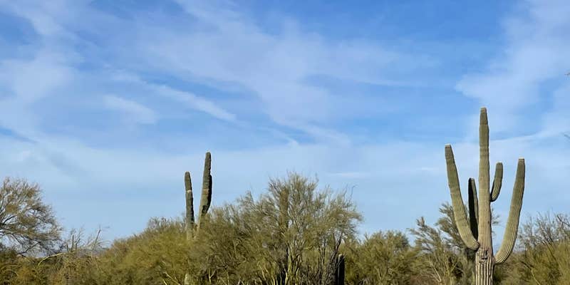 Camper submitted image from gOawayranchaz