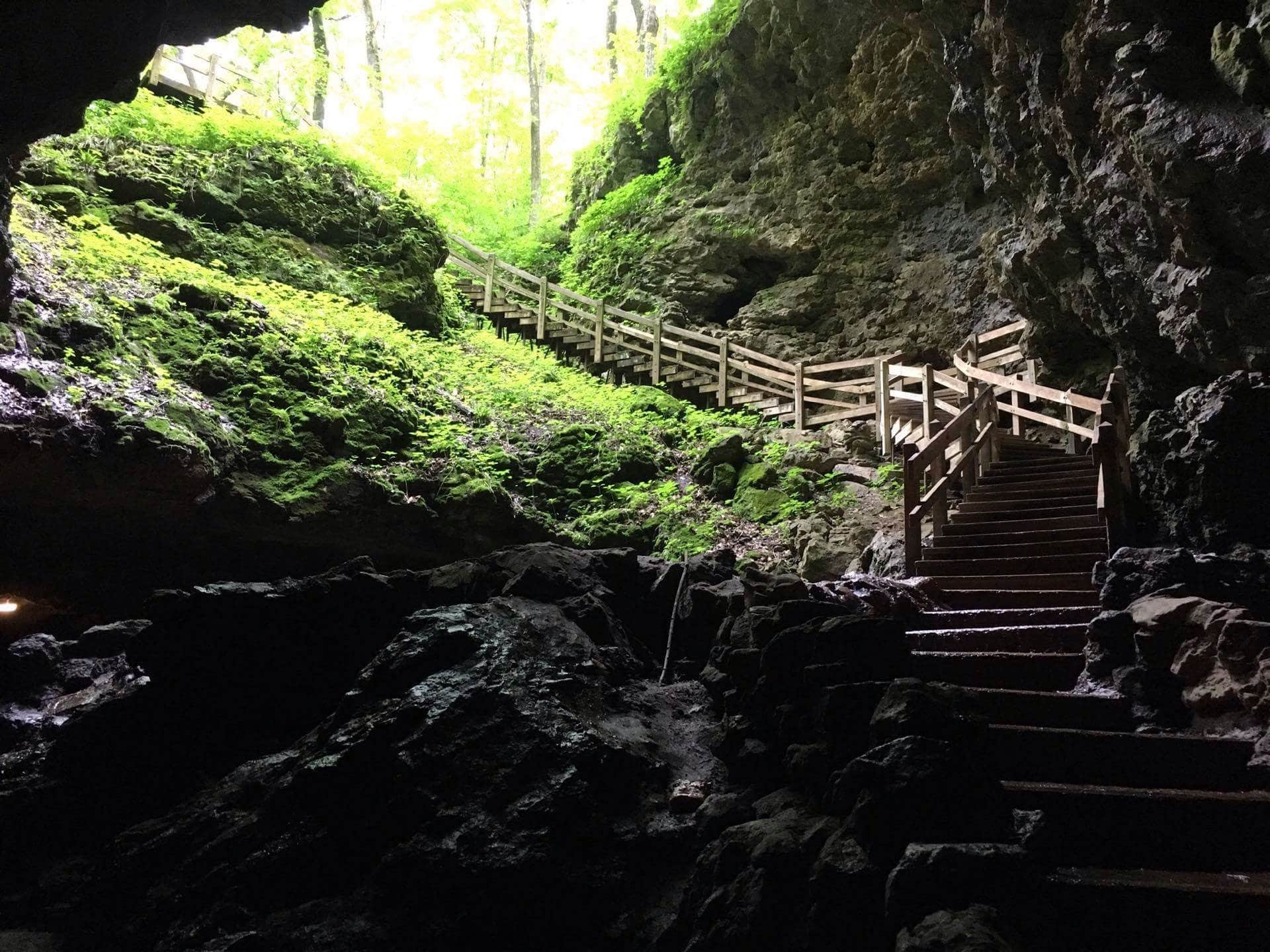 Camper submitted image from Maquoketa Caves State Park Campground - 5