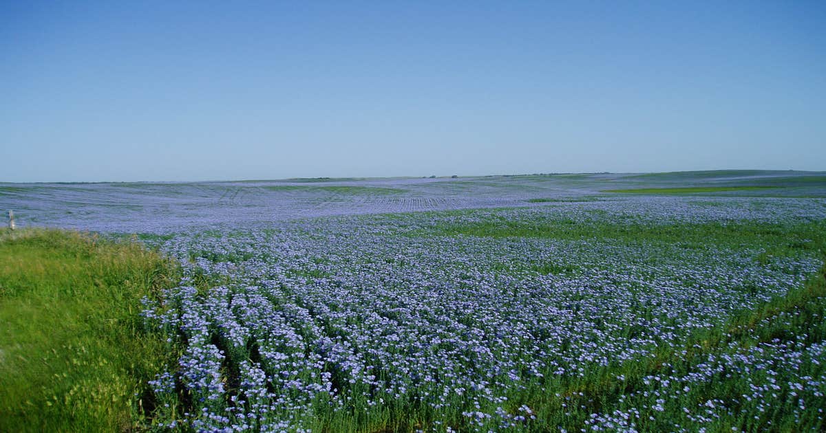 Granville City Park Camping Granville, ND